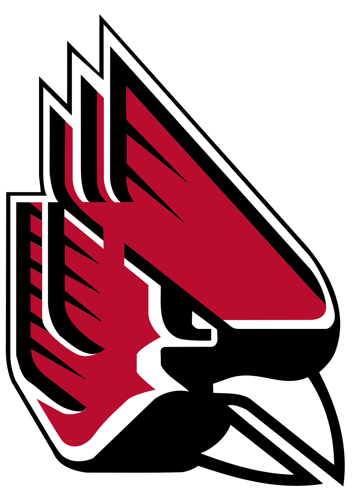 Ball State University - Coaches on Mission